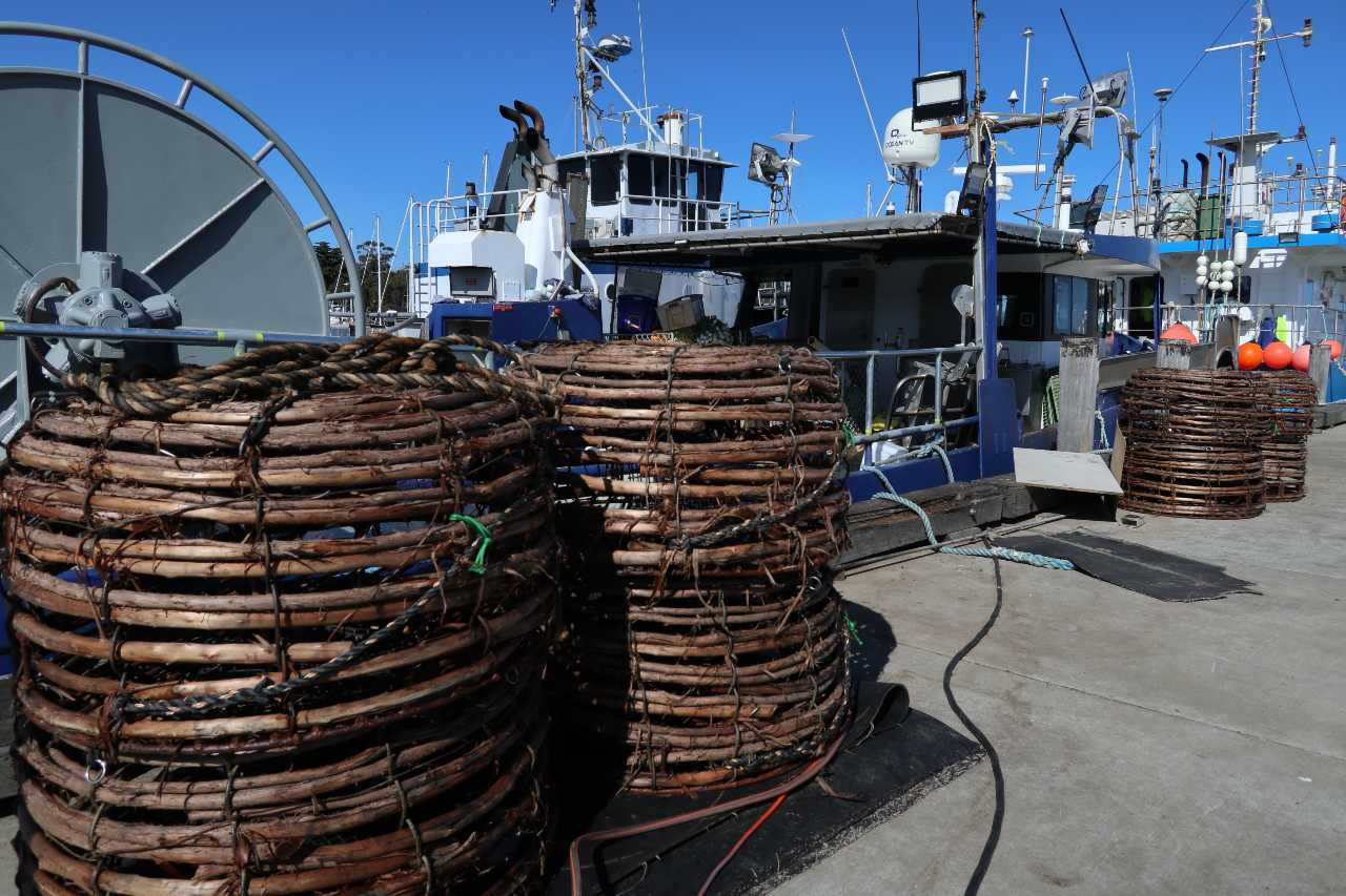 crayfish-pots-on-wharf-StHelens