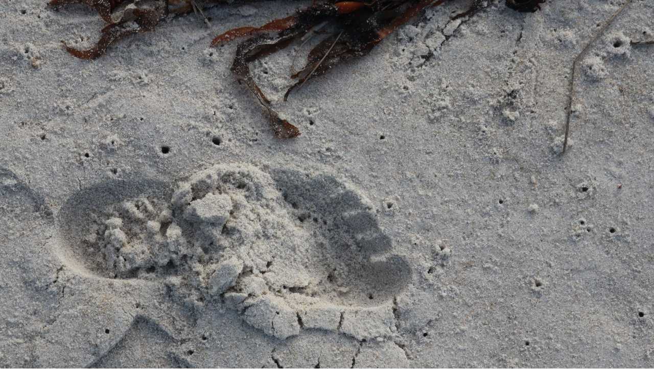footprint-in-the-sand