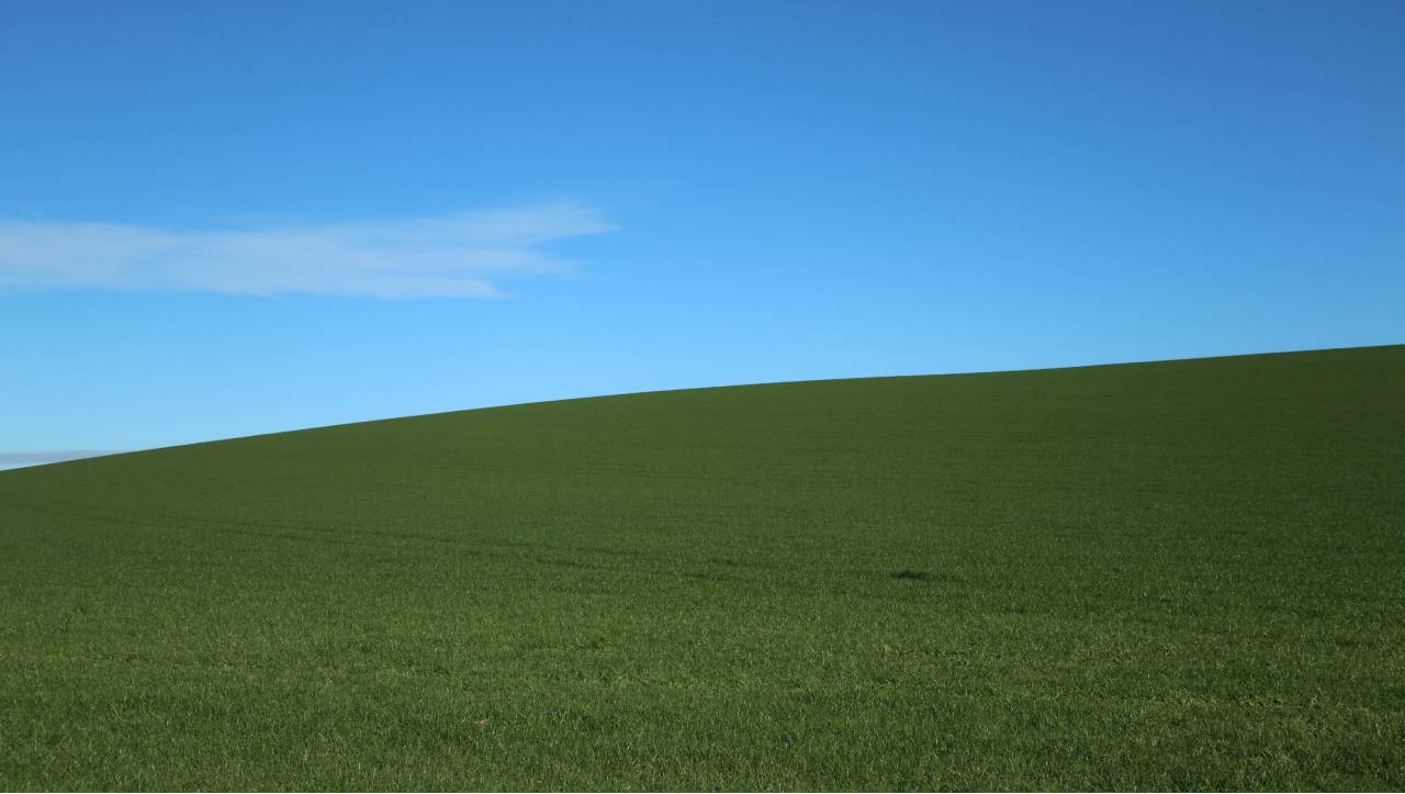 green-paddock-and-green-sky