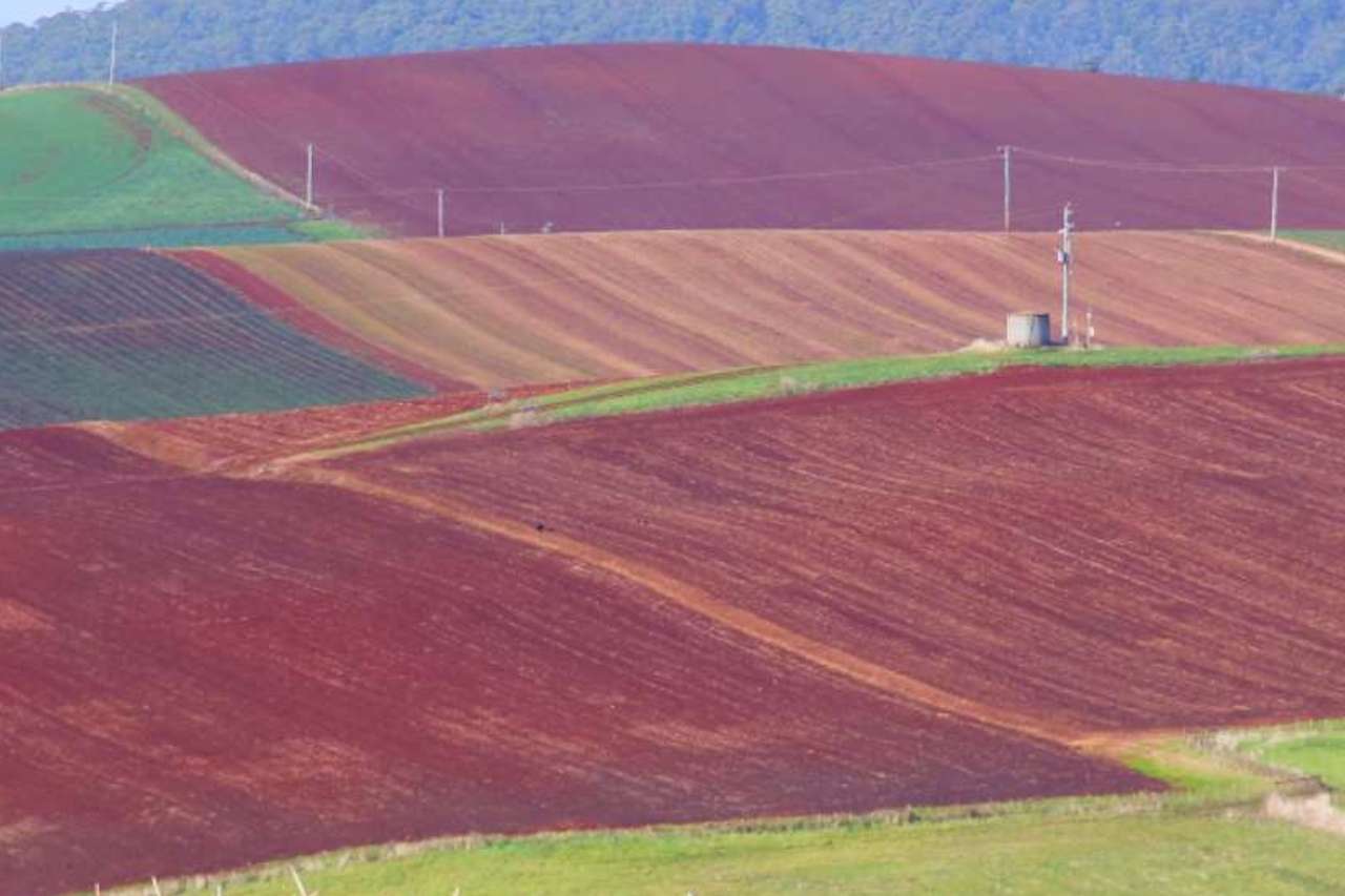 north-west-tasmania-paddocks