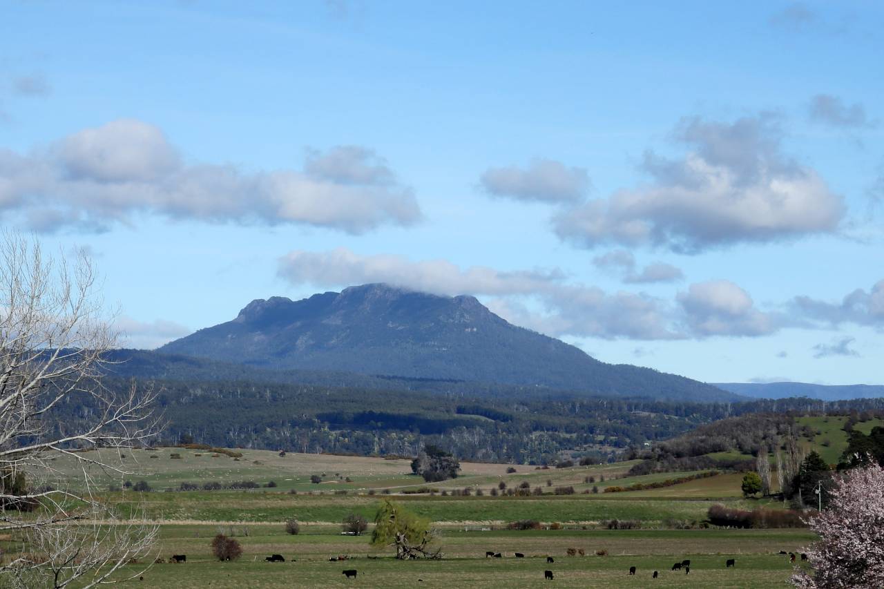 mount-roland-from-bass-highway