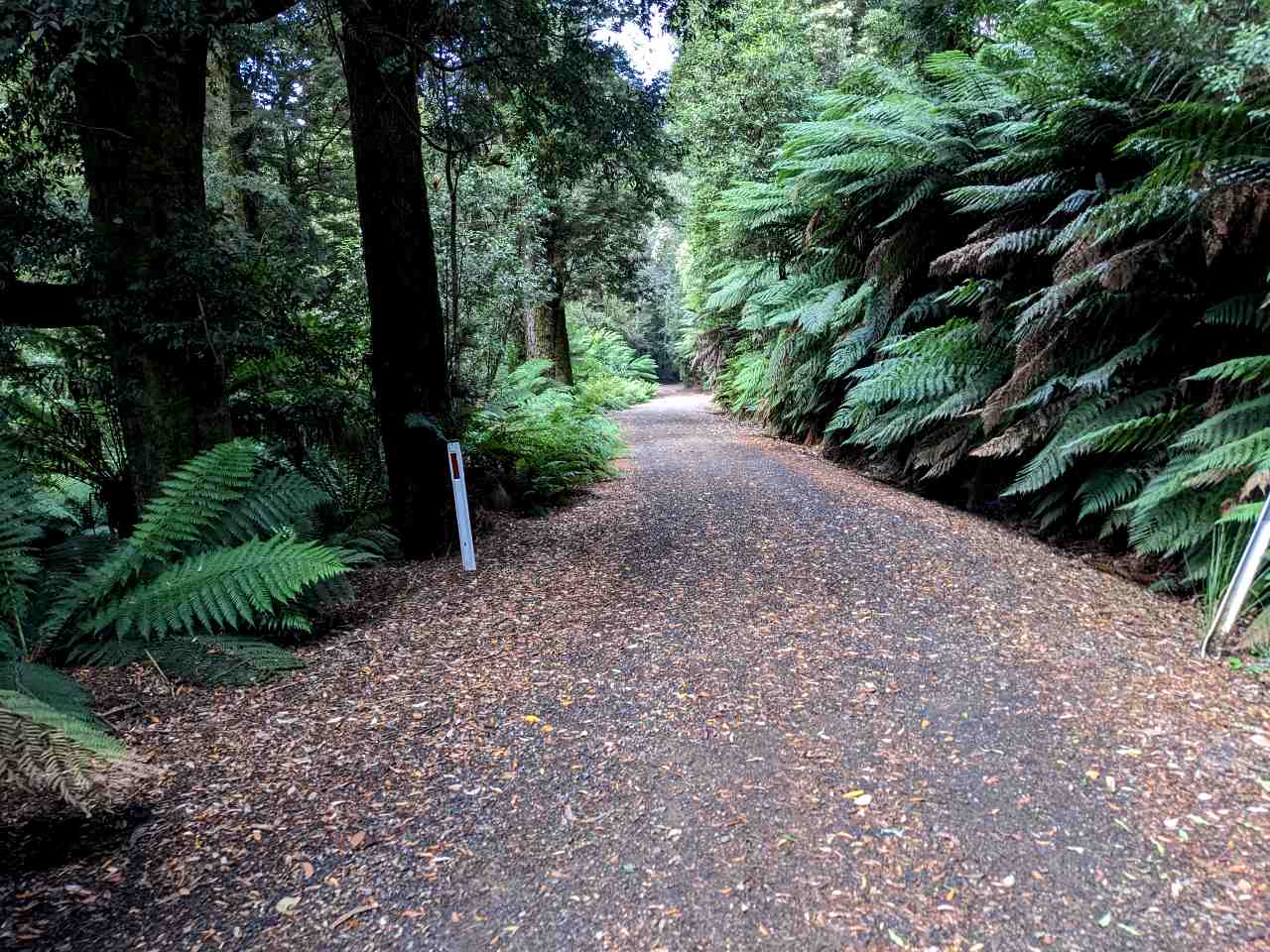 west-coast-Tasmania-remote-road