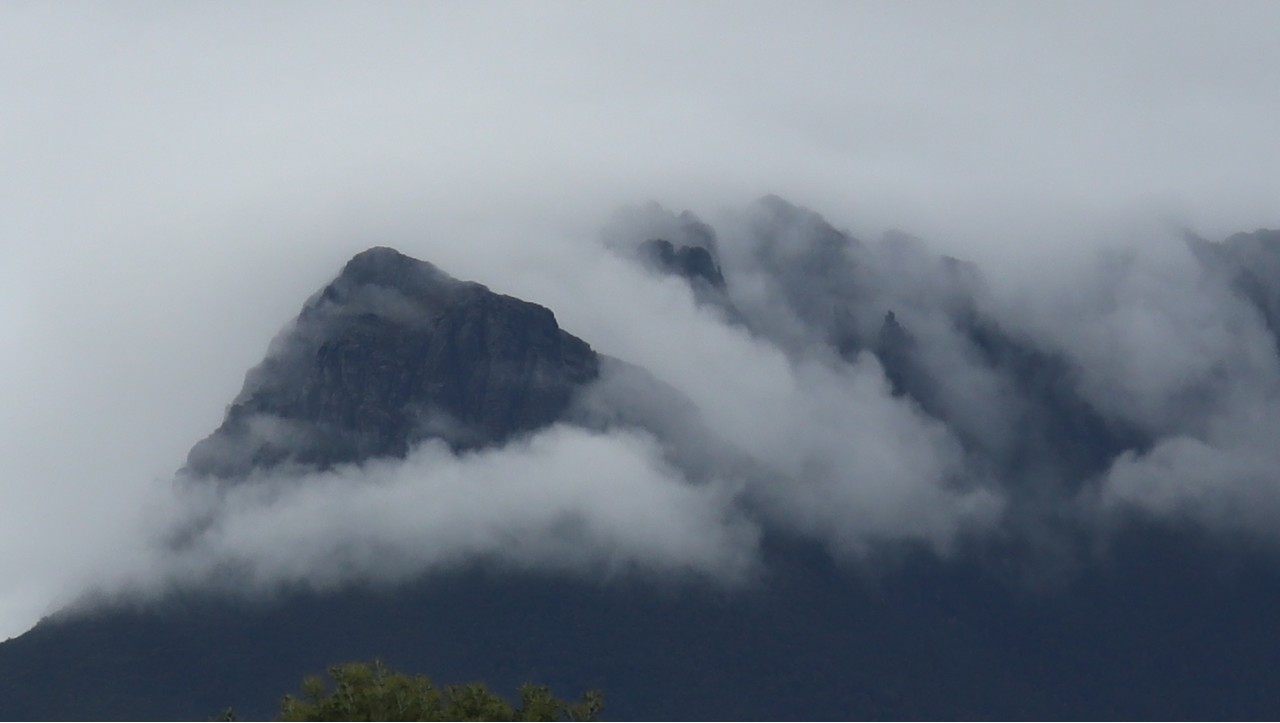 Tasmania-west-coast-mist-covered-hill