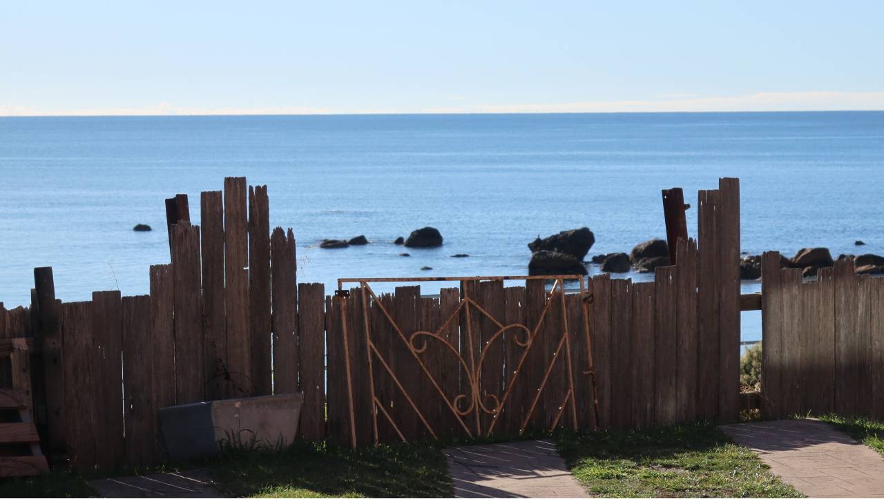 midland-highway-poplar-trees